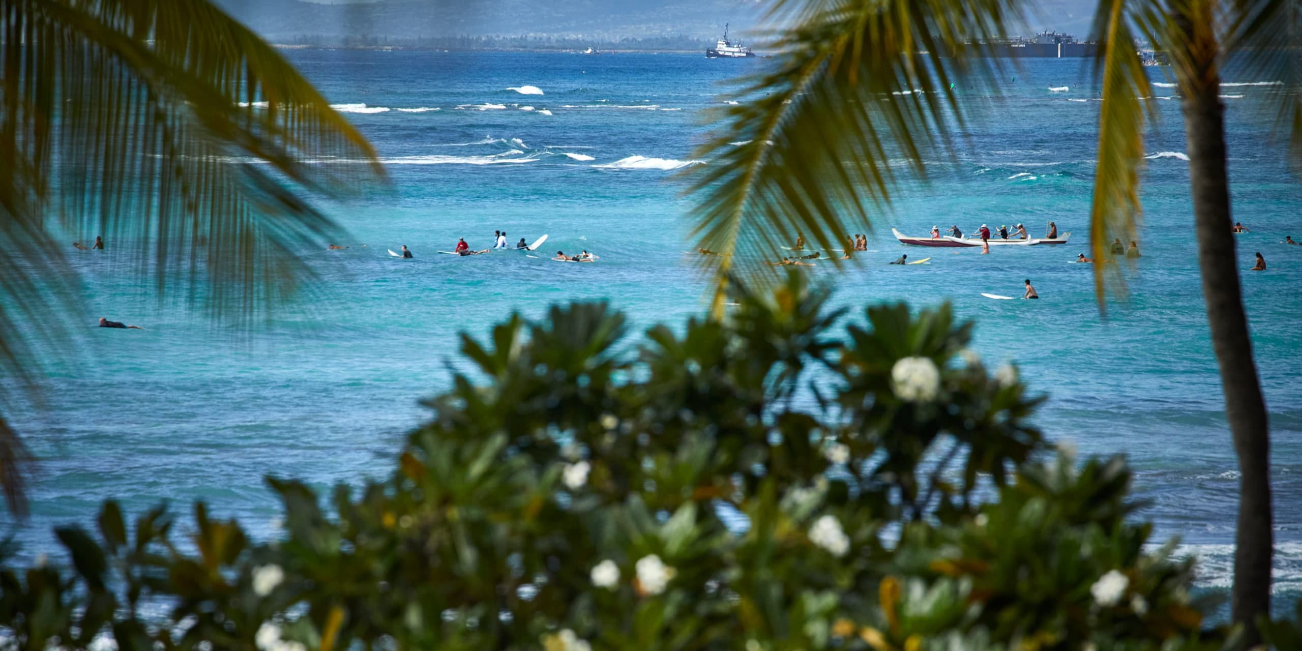 A view from Tiki's Grill & Bar of surfers, longboarders, and canoe paddlers on the ocean, with fragrant plumeria trees and coconut trees.
