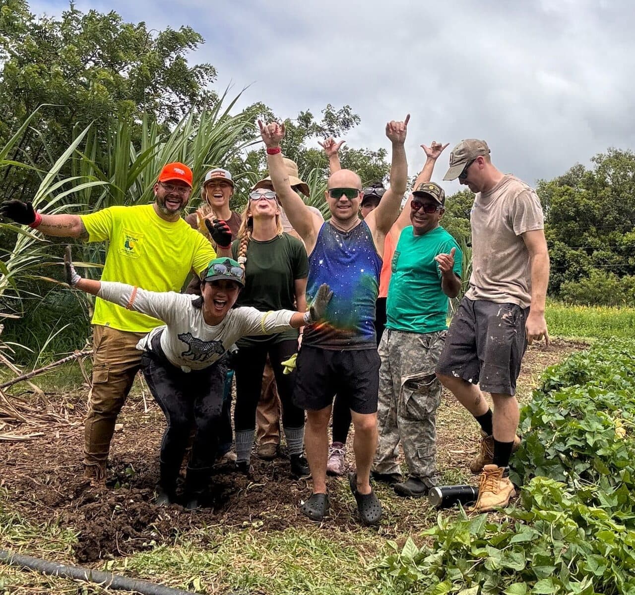 Tiki's Grill & Bar managers and staff having fun while cleaning up a sugar cane and sweet potato patch at Go Farm, showcasing their commitment to local agriculture.